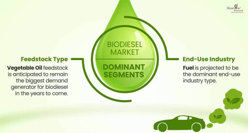 Biodiesel Market Dominant Segments